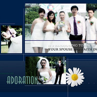 6.5�����Ļ���Ƭ����л��λ����~~~