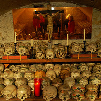 1200��ͷ�ǿ�����������