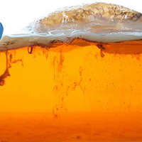 һ���̲賤���·�