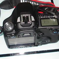 50D���֣����¡���