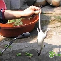 ��Ϸ��---����䡰����롱