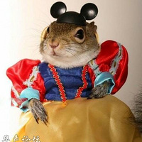 ��Ц�����ǵ�����̫�в���