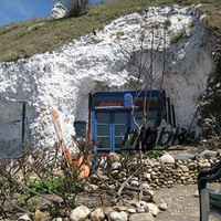 Ϊ�˵�̼��������ɽ�����ˡ�