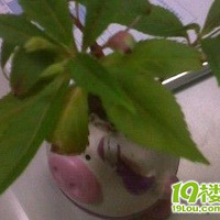 ����~~~~��õ��÷���~~~~