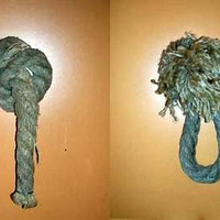 ��ȫ��WC����Ů��־��ȫ