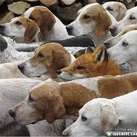 ������Ҳ�~��Ƭ�ﵷ�ҵ�С�һ���~