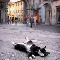 è�˸���ģ�˯���治���ط�˯�˻�������