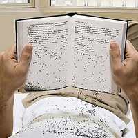 ��ɫ��ǣ����Ӿ��ĳ�������������ڶ�����