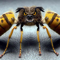 ��ɫ��ǣ����Ӿ��ĳ��������һ��