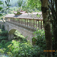 �Լݸ�����������5����