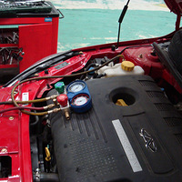 ����յ�û������