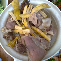 ��Ұ��ҳԵ��