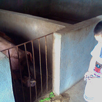 ��������