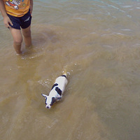 ������Ӿ����