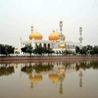 �й������Ļ�԰�ĵ��˺���