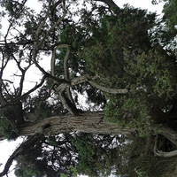 ������ˮ-�ຣ��-���-����Դ-����-�걣-�ƿˡ�����