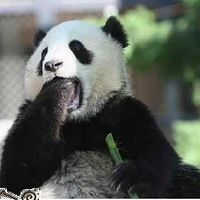 ���ֶ�����Ƿ�������㣬��ͼ������~