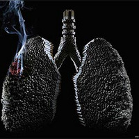 ��ţ���̹�棬����Ѹ�ٽ�����