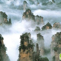 ��������ά����˹�����������żҽ������Σ�