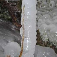 ��Ȼ�Ķ�Ȥζ--�����������