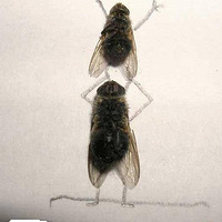 �ò�Ӭ�����������������͵�����~~