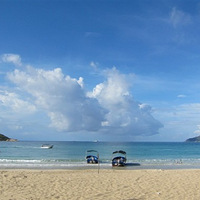 ��һĨ��������ɫ�����������壡