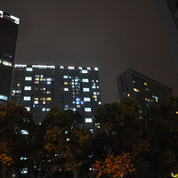 ��SHOW����Ԣҹ��