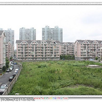 ��SHOW������ͤС������������