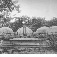 ������Ӱ,��δ������������ԭò