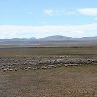 7�¤η������أ�һ�������������ľ��֮�����飨��ᣩ