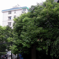 ��SHOW��ʱ����ˮ��������ƽ���������ļң�