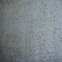 ��������ʳ���㡰Χ�š����ǡ��ˣ��߲��߰���