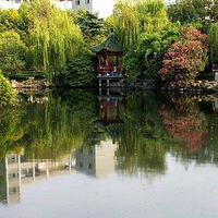 ��SHOW���ɺ�С����Ư����԰