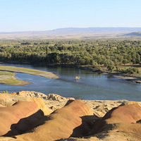 ���弾��1100�ҵĺ�԰����ĺ���