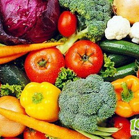 ũҩ���꣡12�����VS�ɾ�����