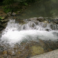 ���ھ������ҵ����̳�ͽ����������ϻ����