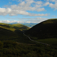 ȥ����£��Ĵ�����֮�У���Щ��ƬΪ���ϰ�Ƚ���