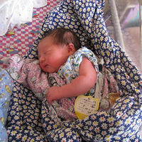 003�ҵ�СС��