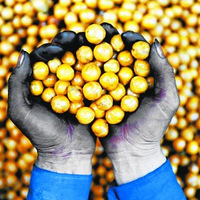 Ѫ�����Ƶ�ɽ����