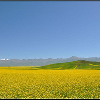 �����ຣ��Դ���Ͳ˻�