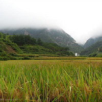 �պ��ŵ�֮��