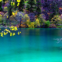 �߽�ͯ�����磬��կ�����ξ��㹥�Դ�ȫ