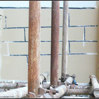 ����������Է�����������! ����͵�������˰�!