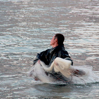 �峿������