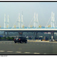 �л�����԰�Լ���