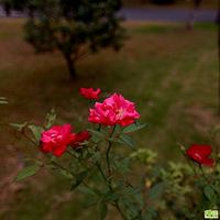 ��ε����� 1��1