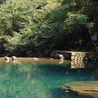 �Լ�������C5�����Լݹ���