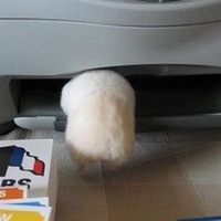 �ɰ���С����