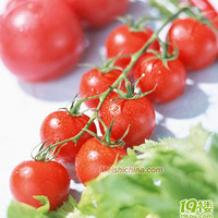 ����ץ���������