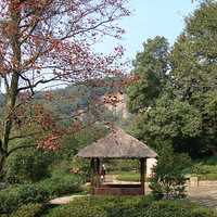 ����侴��۷壨ͼƬ����